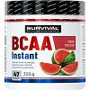 Survival BCAA Instant - 300 g, pomeranč