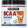 Survival BCAA Instant - 300 g, pomeranč