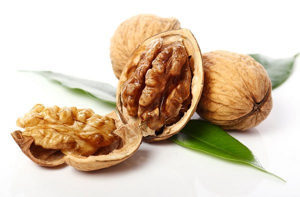 Ořešák královský, královský vlašák