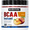 Survival BCAA Instant - 300 g, pomeranč
