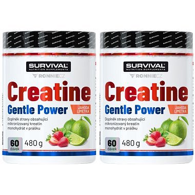Survival Creatine Monohydrate 480 g, limeta-jahoda - AKCE 1+1