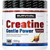 Survival Creatine Monohydrate Gentle Power 480 g, marakuja
