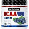 Survival BCAA Instant 300 g - AKCE 1+1