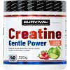 Survival Creatine Monohydrate Gentle Power 480 g, marakuja