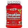 Amix Creatine Monohydrate Powder 500 g