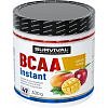 Survival BCAA Instant - 300 g, cola-citron (cuba libre)