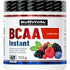 Survival BCAA Instant - 300 g, borůvka