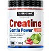 Survival Creatine Monohydrate Gentle Power 480 g, marakuja