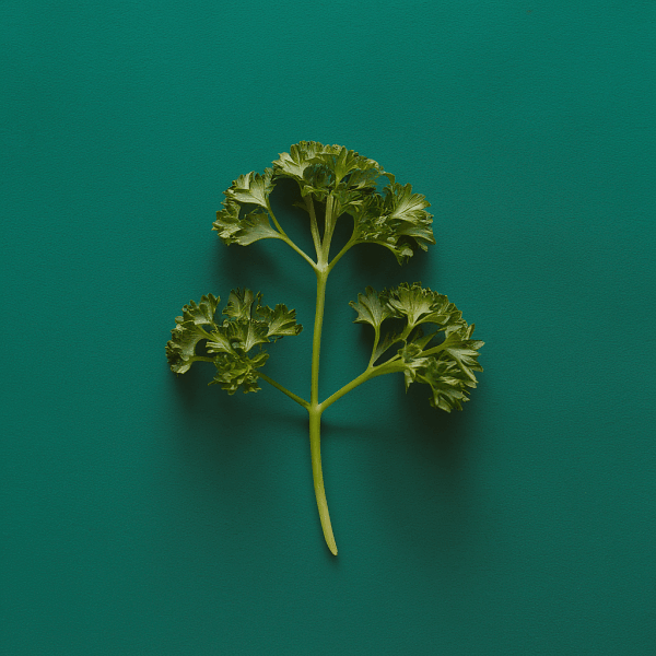 Zázračné koření: Petržel