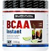 Survival BCAA Instant - 300 g, pomeranč