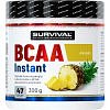 Survival BCAA Instant - 300 g, pomeranč