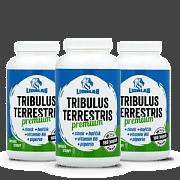 Kategorie: Můj cíl