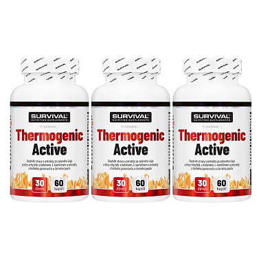 Survival SPALOVAČ Thermogenic Fair Power 60 cps - AKCE 2+1 ZDARMA