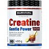 Survival Creatine Monohydrate Gentle Power 480 g, marakuja
