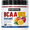 Survival BCAA Instant - 300 g, pomeranč