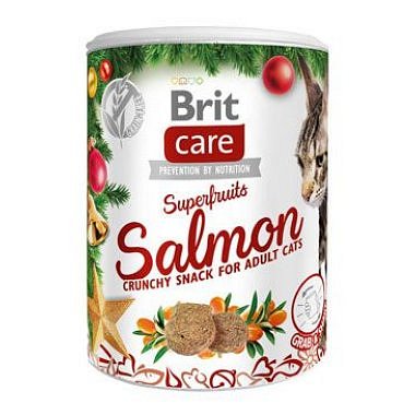 Brit Care Cat Christmas Superfruits 100 g