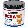Survival BCAA Instant - 300 g, cola-citron (cuba libre)