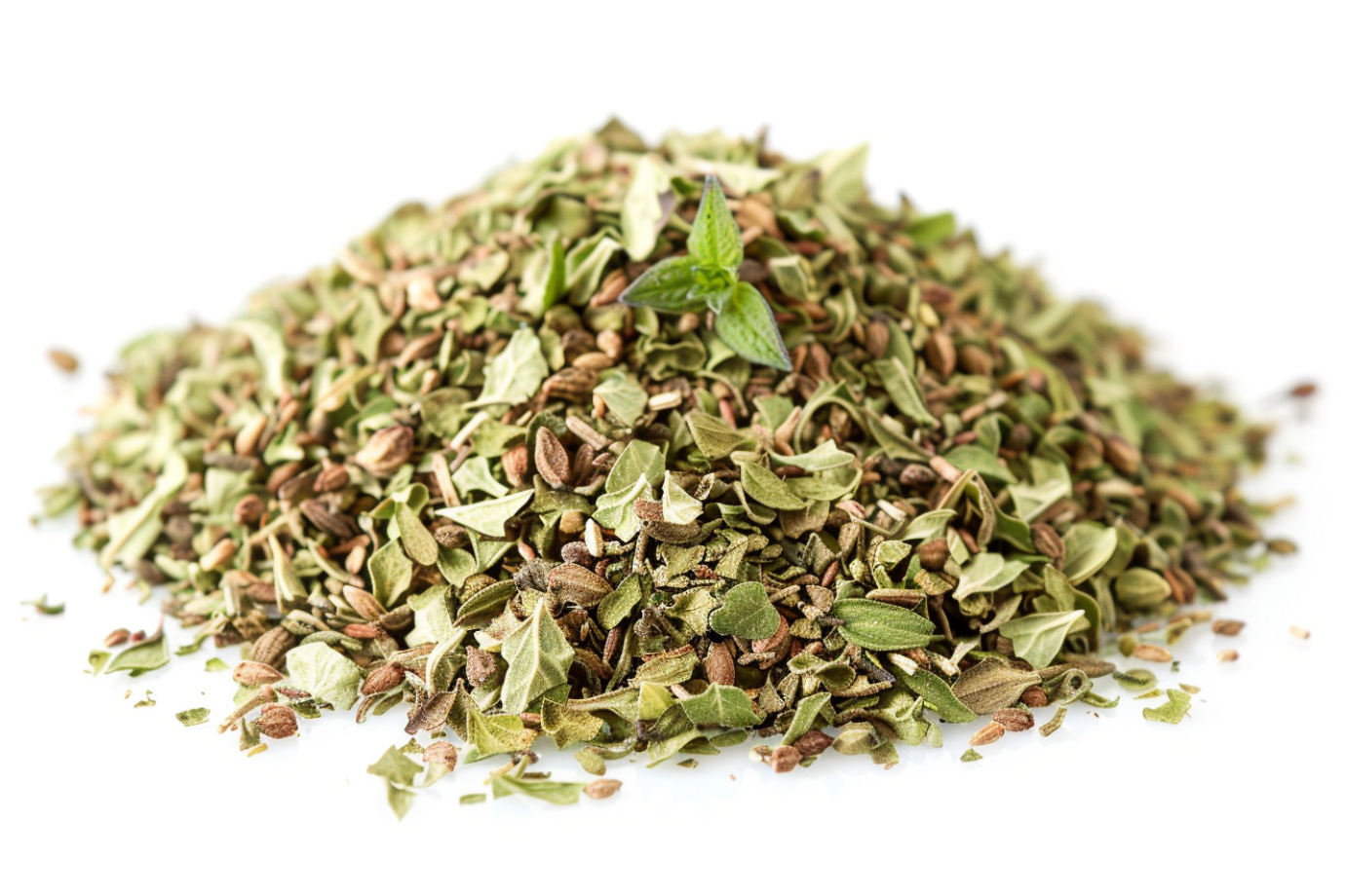 su&scaron;en&aacute; major&aacute;nka