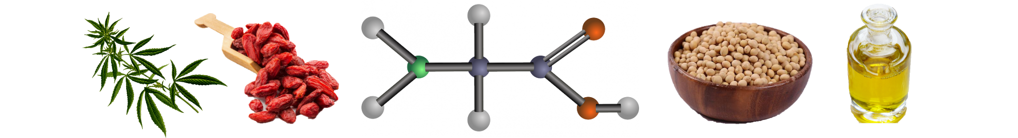 Protein Warrior Blend